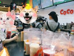 -CoCo都可(合生汇店)