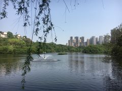 -重庆彩云湖湿地公园