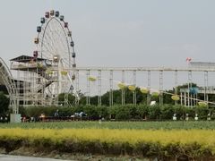 -百万葵园