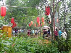 -草根堂农场