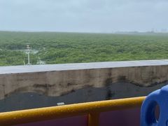 -北海金海湾红树林生态旅游区