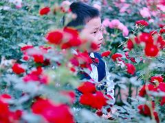 -人民公园(罗湖区)