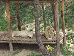 -石家庄市动物园