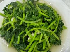 蒜泥山野菜-乡土特色.冷锅鱼.牦牛肉汤锅