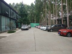 -桉树林A coffee 森林餐厅(三圣乡店)