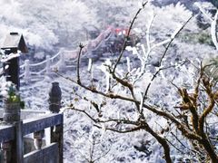 -梵净山旅游区