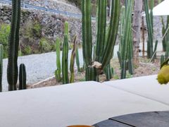 -MOJ coffee(瓯海泽雅水碓坑店)