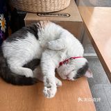 拥有中央开放式吧台的一家社区咖啡厅