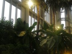 -中家鑫园温泉酒店鑫悦汤泉