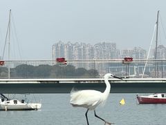-金鸡湖景区