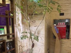 -和毅足道·轻奢SPA·按摩(万家丽路店)