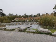 -泗洪洪泽湖湿地景区