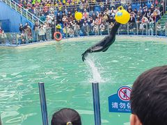 -西安秦岭野生动物园