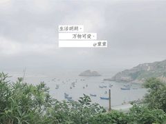 -枸杞岛