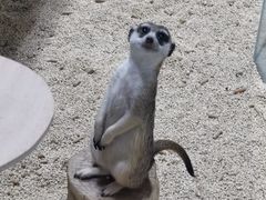 -海合安武汉极地海洋公园