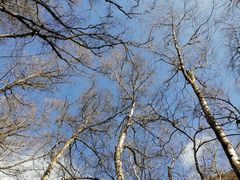 -叠溪松坪沟景区