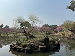 -无锡梅园公园