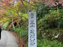 -三千院