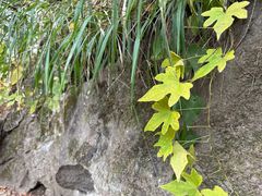 -终南山南五台景区