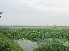 景点-焦岗湖旅游度假区