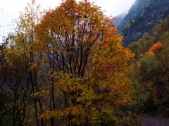 -叠溪松坪沟景区