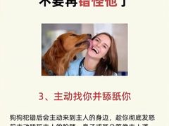 -宠物寄养训练学校