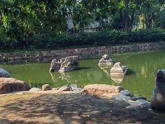 -华雅花园大酒店