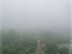-前关湿地公园