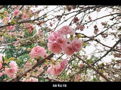 -西樵山国艺影视城