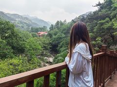 -凤凰山国家森林公园
