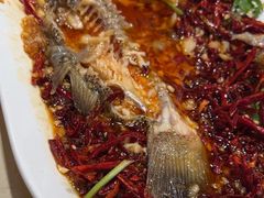 -杨氏青龙虾·羊蝎子(珠江路店)