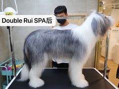 -Double Rui宠物酒店