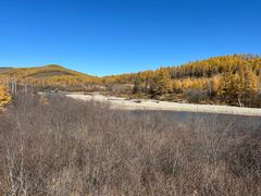 -莫尔道嘎国家森林公园