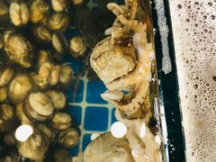 -蟹谢蒸鲜自助餐厅