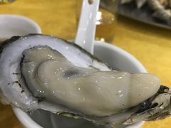 桑拿蚝-蚝专家(北滘店)