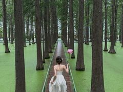 -渌洋湖湿地公园