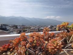 -唐咖精品咖啡(大理古城手冲店)