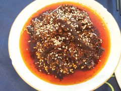 -院8里·少城记忆老川菜(宽窄巷子店)