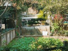-天怡·鱼工厂(梅溪湖店)