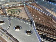 -柏斯音乐艺术中心·钢琴·吉他(世纪金源店)