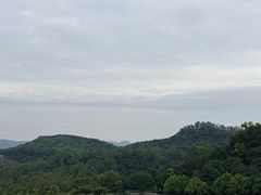 -火炉山森林公园