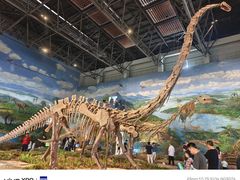 -自贡恐龙博物馆