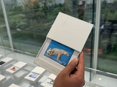 -罗红摄影艺术馆