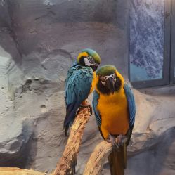 -Zoolung Zoolung动物主题公园(海信广场店)