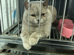 -特一安24小时宠物医院·骨科·中兽医