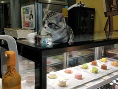 -咖法森林·咖啡  酒吧(天河店)