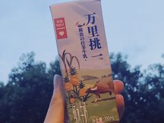 -乐纯(苹果社区店)