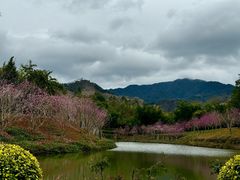 -森波拉奇妙世界