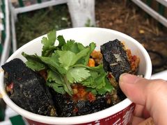 黑色经典臭豆腐-黑色经典臭豆腐·湖南特产(坡子街店)