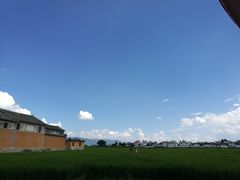 -喜林苑·稻田餐厅(品相府店)